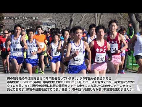 水戸千波湖ロードレース大会