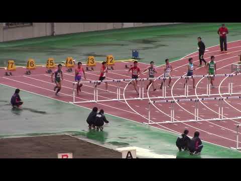 2018年　埼玉県高校新人戦県大会　男子110ｍＨ決勝