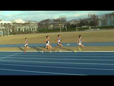 2016 12 03 順大長 男子800m 原田 鈴木 髙橋 熱田