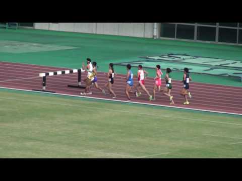 2016 関東高校新人陸上 男子3000mSC決勝