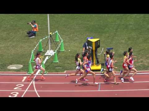 H29　南関東　女子1500m　予選1組