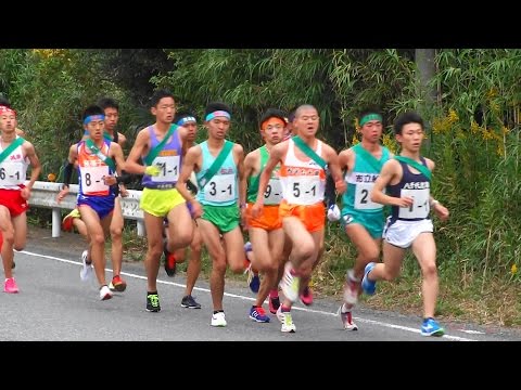 2015 千葉県高校駅伝 男子 1区