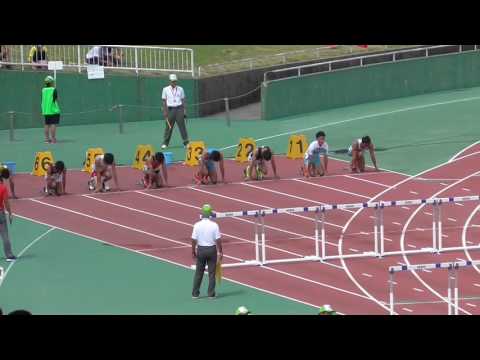 2016九州選手権　男子110mH決勝