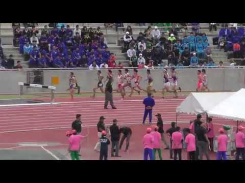 H30　北関東　男子3000mSC　予選2組