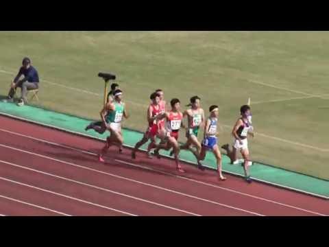 2016 関東高校新人陸上 男子800m予選2組