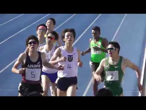日体大記録会 男子800m最終組 2019.4.20
