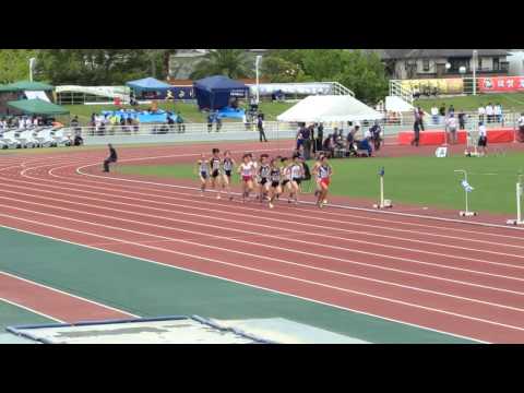 2015年度近畿IH 女子1500m決勝