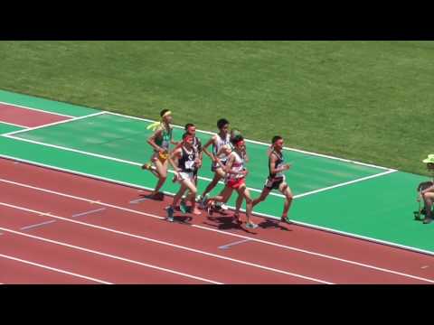 2017年度 兵庫県高校総体 男子5000m決勝