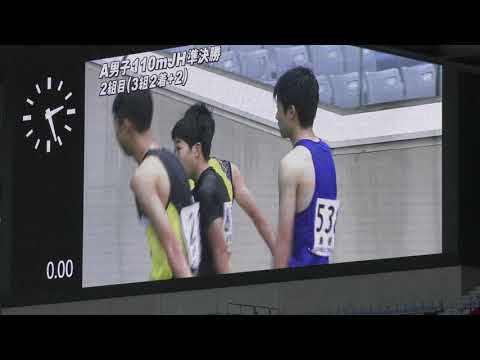 H29　ジュニアオリンピック　A男子110mJH　準決勝2組