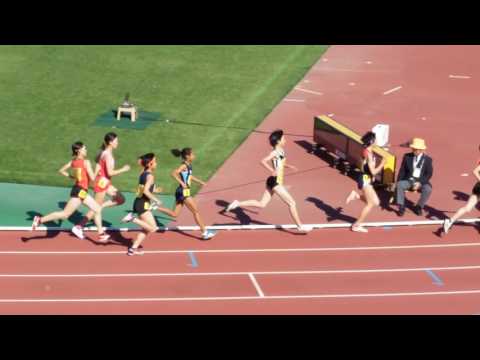 2017年度兵庫リレーカーニバル GP女子1500m決勝