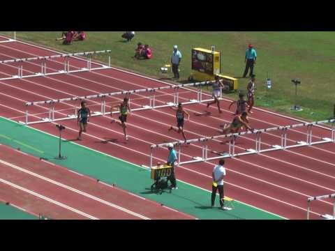 H29　千葉県中学総体　男子110mH　準決勝2組
