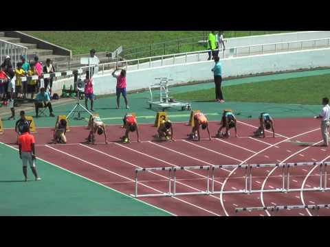 H29　千葉県中学総体　男子110mH　準決勝3組