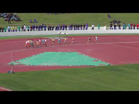 H30　千葉県高校総体　女子1500m　決勝
