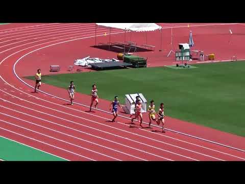2018愛知県高校総体県大会 男子 800m【予選・準決・決勝】