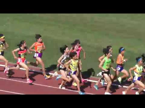 H30　千葉県中学通信陸上　女子1500m　決勝