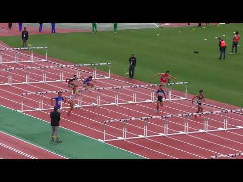 H30　北関東　男子八種競技110mH　2組