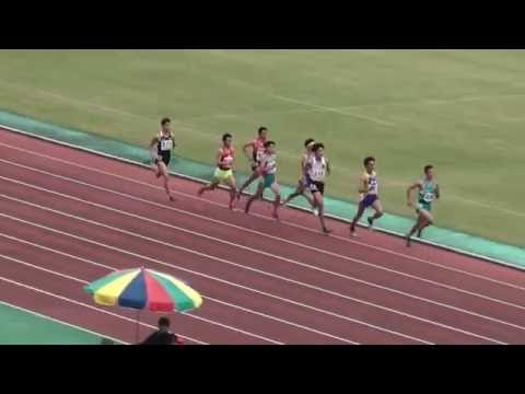 2016 関東高校新人陸上 男子800m決勝