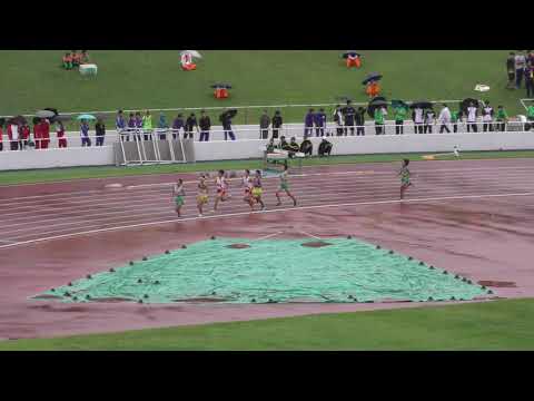H30　千葉県高校新人　男子5000m　2組　決勝ﾀｲﾑﾚｰｽ