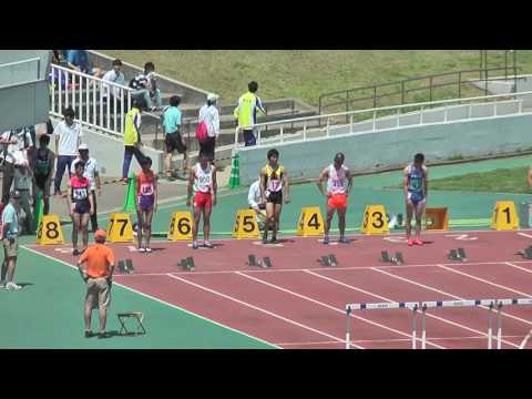 H29　千葉県高校総体　男子110mH　準決勝1組