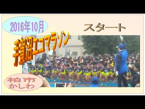 手賀沼エコマラソン2016　Marathon