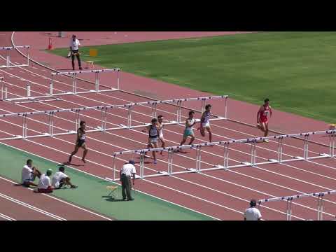 H30　関東選手権　男子110mH　予選3組