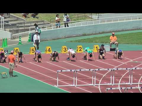 H29　千葉県高校総体　男子110mH　準決勝2組
