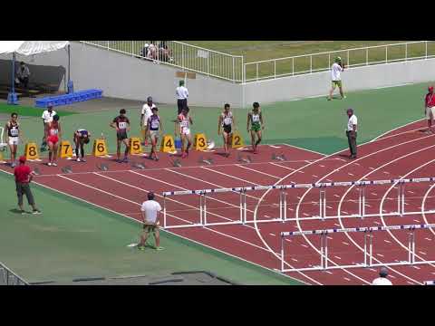 H30　関東選手権　男子110mH　準決勝1組