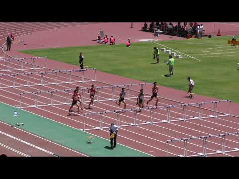 男子110mH 予選3組　北関東 R01