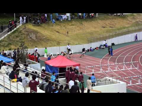 第49回東京六大学陸上　男子110mH 予選2組