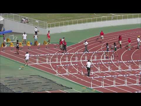 H30　関東選手権　男子110mH　準決勝2組