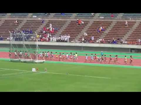 2018年度 兵庫県高校総体 男子5000m決勝