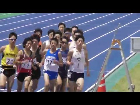 日体大記録会 1500ｍ6組　2016.5.14