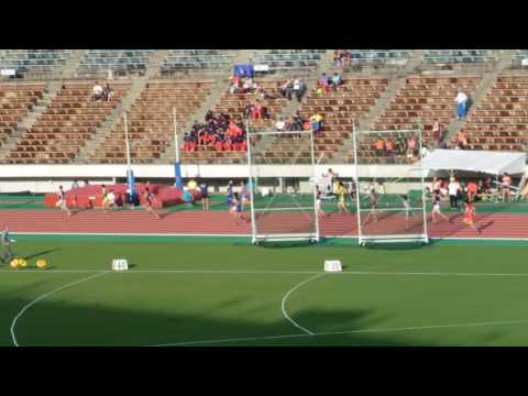 2016年度兵庫選手権　男子4×100mリレー決勝