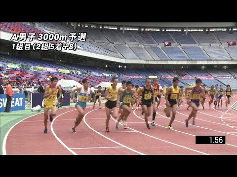 男子A 3000m 予選 1組 第49回ジュニアオリンピック陸上競技大会
