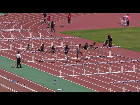 男子110mH 準決勝1組　北関東 R01