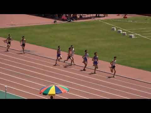 予選 男子800m 1組〜3組 南関東大会 R01