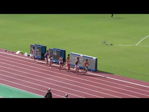 男子800m予選1組　U20日本選手権R01