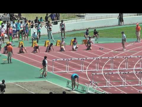 H29　千葉県高校総体　男子110ｍH　予選2組