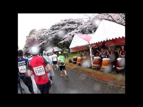 【RUNNING】雨の掛川新茶マラソン 2017