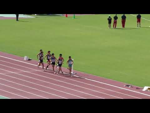 男子800m予選3組　U20日本選手権R01