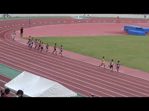 2019 茨城県中学新人 男子3000mタイムレース1組