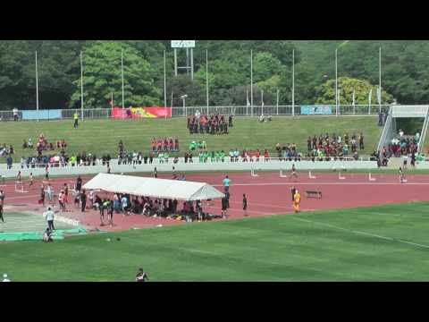 H29　千葉県高校総体　男子400mH　準決勝3組