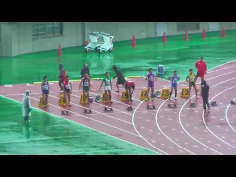 平成29年度 高校総体 埼玉県大会 男子100m 準決勝3組
