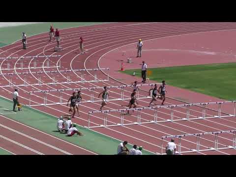 H30　関東選手権　男子110mH　予選2組