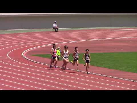 2016 東海高校総体陸上 男子800m予選4