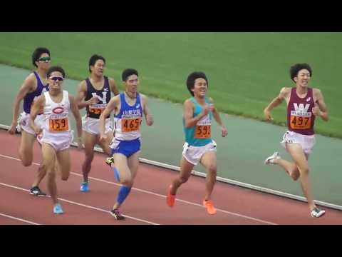 【頑張れ中大】関東ｲﾝｶﾚ 男子1部800m準決勝1組 田母神一喜ピンチ！ 2018.5.26
