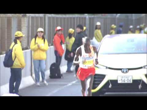 第９回神戸マラソン/KOBE MARATHON 2019 ダイジェスト版