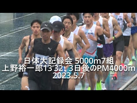 日体大記録会 5000m7組『上野裕一郎13’32、3日後のPM4000m』2023.5.7