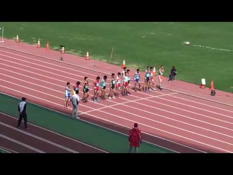2018 茨城県高校総体陸上 男子3000mSC予選2組