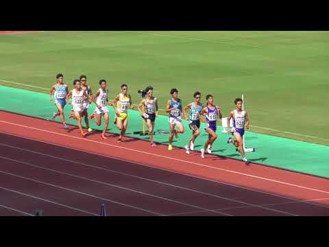 2017年度 近畿陸上選手権 男子1500mタイムレース2組目